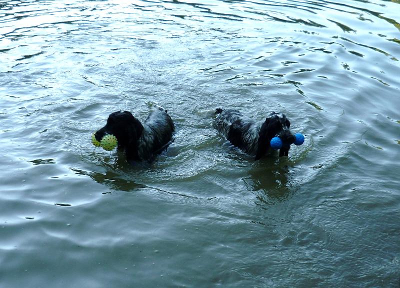 05-Koupani (Domik  a Bessy).JPG